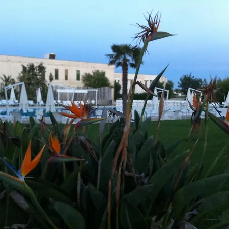 Отель Arthotel & Park 4*